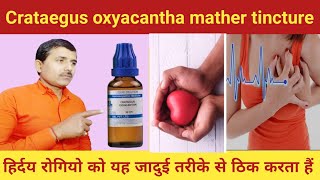 Crataegus oxyacantha q use in hindi  Benefits of crataegus mother tincture [upl. by Ahtela]