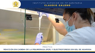 Reacción en cadena de polimerasa y electroforesis en gel de agarosa Laboratorio Clínico y Biomédico [upl. by Euqnimod]