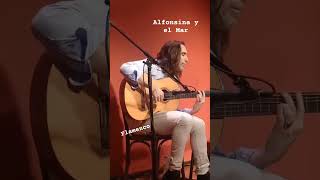 quotAlfonsina y el Marquot versión Flamenca  rodrigogonzalezmendiondo guitarra [upl. by Abner]