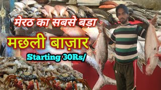 Meerut Biggest Fish Market  Seafood Market  Cro Fish  Kekda [upl. by Maribeth]