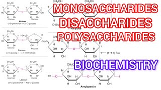 Monosaccharide disaccharide polysaccharide isomer ❤️ [upl. by Itsyrc]