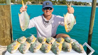 Floridas Most EXPENSIVE FishHeres Why Catch Clean Cook Florida Pompano [upl. by Oaht]