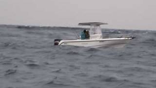 Boston Whaler 210 Outrage [upl. by Melodee]