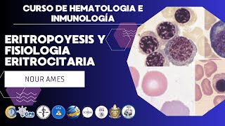 ERITROPOYESIS Y FISIOLOGIA ERITROCITARIA  Nour Ames  Curso de Inmuno Hemato [upl. by Gearard974]