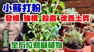 【家庭有菜】小蘇打粉終極使用秘訣 [upl. by Stephania]