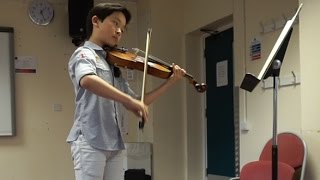 Hoffmeister Concerto in D Major viola 1st movement Allegro [upl. by Karlyn565]