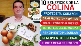 10 beneficios de la❤️ COLINA❤️ trata el ALZHEIMER👏 y PÁRKINSON👍 GLAUCOMA👍 CORAZÓN💖 HÍGADO GRASO🙏 [upl. by Ramah]