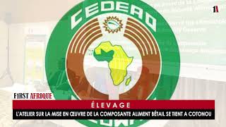 ÉLEVAGE  LATELIER SUR LA MISE EN ŒUVRE DE LA COMPOSANTE ALIMENT BÉTAIL SE TIENT A COTONOU [upl. by Ghiselin]