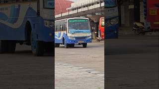 TNSTC Villupuram ECR Rider  Chennai CMBT to Pondicherry  service bus travel tnstc trending [upl. by Yahc737]