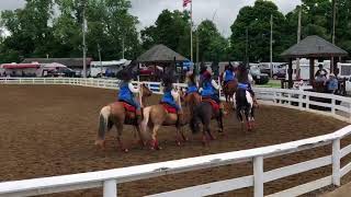 2018 Crimson Acres Glory Riders 1st Place Theme Drill at NKHN Drill Team Competition [upl. by Karlene]