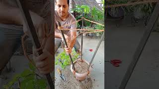 How to make STRONG Trellis for Climbing plants EASILY [upl. by Eseenaj]