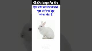 GK Top 20 Questions  GK Quiz  GK in Hindi  GKGS  gk railway brgkstudy gkfacts quiz [upl. by Anirret660]