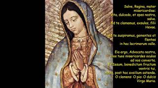 Gregorian Chant  Salve Regina Latin Lyrics [upl. by Suryt]