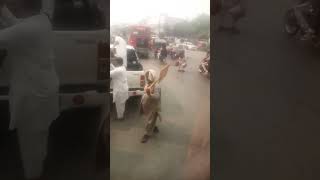 Lahore bus stations [upl. by Delamare687]