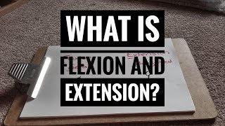 What is Flexion and Extension [upl. by Leirbaj]