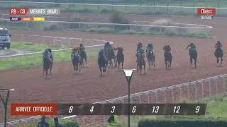 Live Hippodrome « MEKNES »  Courses du « 07122023 » [upl. by Ilenay]