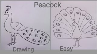 how to draw peacock drawing easy step by stepDrawingTalent [upl. by Noraa]