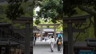 Pourquoi un touriste américain atil osé vandaliser le sanctuaire sacré de Meiji Jingu [upl. by Quinby]