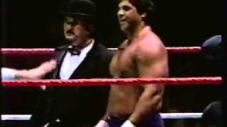 Don Muraco vs Swede Hansen P1 [upl. by Parik]