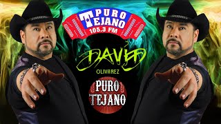 David Olivarez Puro Tejano Mix  David Olivarez Greatest Hits [upl. by Garratt]