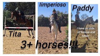 RIDE 5 HORSES In ONE DAY🩷💚💙✨️🌸✨️🌸✨️🩷💚💙 [upl. by Cis]