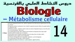 Métabolisme cellulaire catabolisme oxydatif [upl. by Lleuqar]