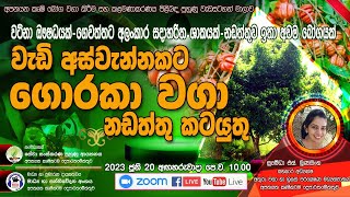 වැඩි අස්වැන්නකට ගොරකා වගා නඩත්තු කටයුතු [upl. by Tasiana]