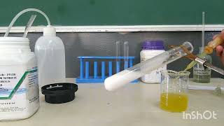 Brown Ring Test to confirm Nitrate radical in a salt [upl. by Bertie]