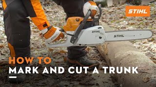 How to mark and cut a trunk on the ground  STIHL Tutorial [upl. by Rocca966]