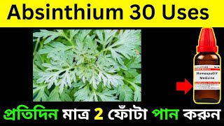 absinthium 30 homeopathic medicine uses and diseases [upl. by Sabba498]