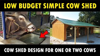 Simple Low Budget Cow Shed Design for One or Two Cows  Small Dairy Farm [upl. by Leiahtan]