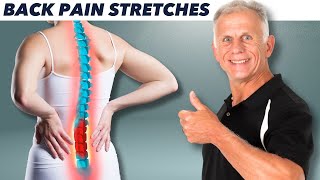 Absolute Best 10 Stretches For Back Pain amp Perfect Posture [upl. by Aneela247]