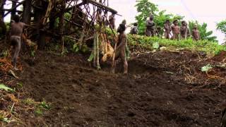 Land Diving at Pentecost Island in Vanuatu [upl. by Nivek260]