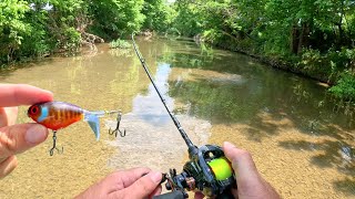 BFS Topwater Fishing Small Creek [upl. by Vizzone]