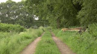 Nature Ambience Old Country Trail with Bird and Cattle Sounds [upl. by Pinto]