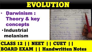 L5 Darwinism  theory of natural selection  class 12 evolution  CUET NEET CBSE [upl. by Noloc]