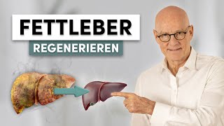 Fettleber regenerieren So behandelst Du sie richtig [upl. by Arraes13]