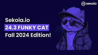 Sekoiaio 243 FUNKY CAT Fall 2024 Edition [upl. by Ahsekal343]