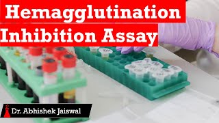 Hemagglutination Inhibition Assay [upl. by Lede]