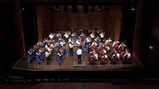 Mozart Divertimento in D Major K 136 1st Movement [upl. by Naam]