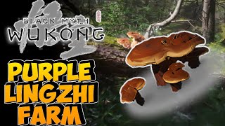 Purple Lingzhi Farm Guide  Black Myth Wukong [upl. by Led]