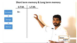 MA Psychology Short term amp Long term memory [upl. by Oirom901]