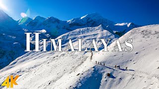 Himalayas 4K Ultra HD • Stunning Footage Himalayas Scenic Relaxation Film with Calming Music [upl. by Labaw]