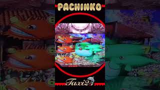 PACHINKO海物語IN沖縄Ⅳ2024年10月3日 [upl. by Whipple]