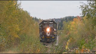 CN 556SB avec IC 9628 DeathStar a StBrunoQc 6 octobre 2024 [upl. by Adolph886]