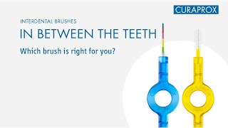 Interdental Brushes – In Between the Teeth [upl. by Airasor]