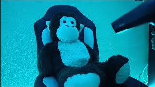 ASMR Hair Dryer Sound With Monkey Sniper🙉 On Marine Blue 🩵 [upl. by Candie16]