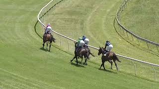 Bowraville 23 11 2024 Race 1 [upl. by Notlil]