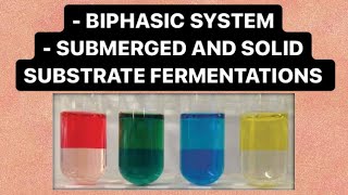 Biphasic system  Submerged and Solid Substrate Fermentation  Enzyme Technology  BIOTECHNOLOGY [upl. by Aihtnys]