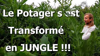 Potager en MaiJuin Partie 12  DésherbagePréparation de ParcellesButtageSemis et Plantations [upl. by Odracir]